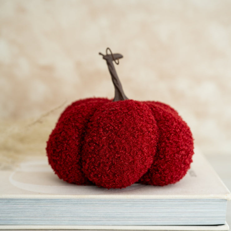 Calabaza Rojo Vino de Boucle - ambientihonduras