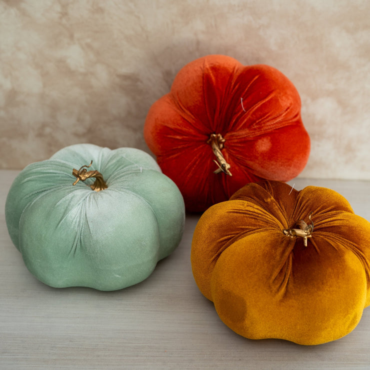 Calabaza Velvet Mostaza - ambientihonduras