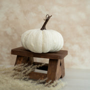 Calabazas Corduroy - ambientihonduras