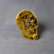 Calaberas Mini - ambientihonduras