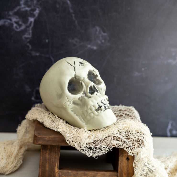 Calavera - ambientihonduras