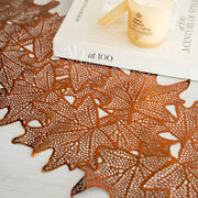 Camino de Mesa Brillante - ambientihonduras