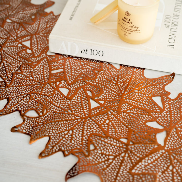 Camino de Mesa Brillante - ambientihonduras