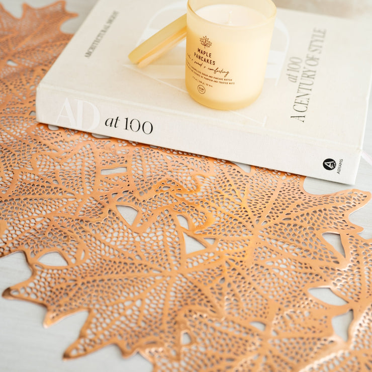 Camino de Mesa Brillante - ambientihonduras