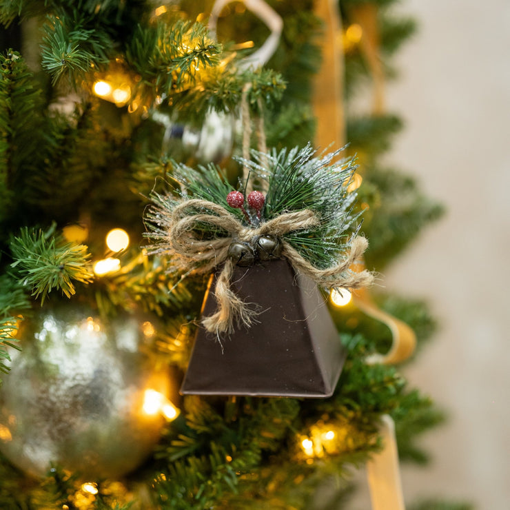 Campana Café - ambientihonduras