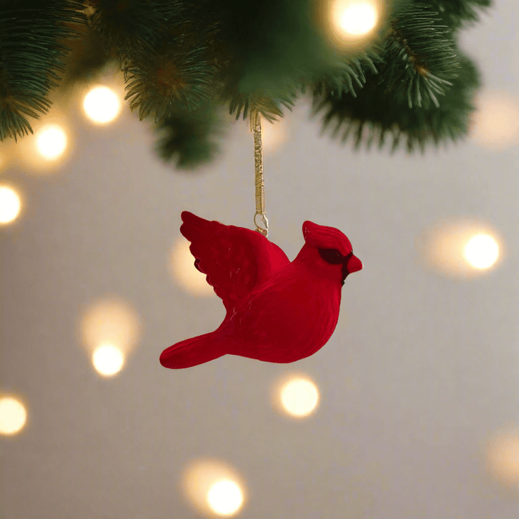 Cardenal Rojo - ambientihonduras