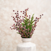 Cerezas Rojas Escarchadas - ambientihonduras