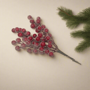 Cherrys Nevadas - ambientihonduras