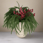 Cherrys Nevadas - ambientihonduras