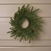 Corona con bellotas - ambientihonduras