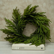 Corona Estilo Norfolk - ambientihonduras