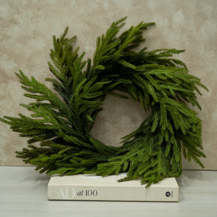 Corona Estilo Norfolk - ambientihonduras