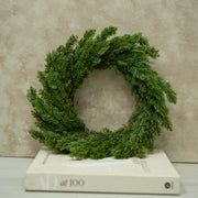 Coronita Ciprés - ambientihonduras