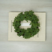 Coronita Ciprés - ambientihonduras