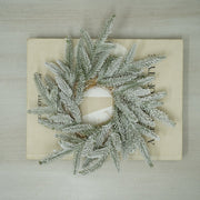 Coronita Nevada - ambientihonduras