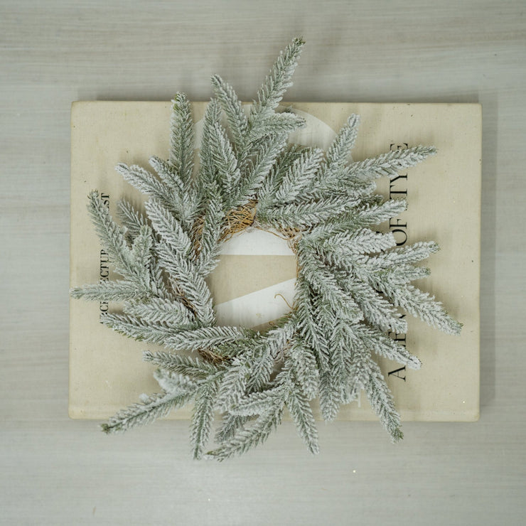 Coronita Nevada - ambientihonduras