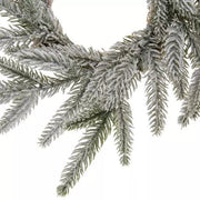 Coronita Nevada - ambientihonduras