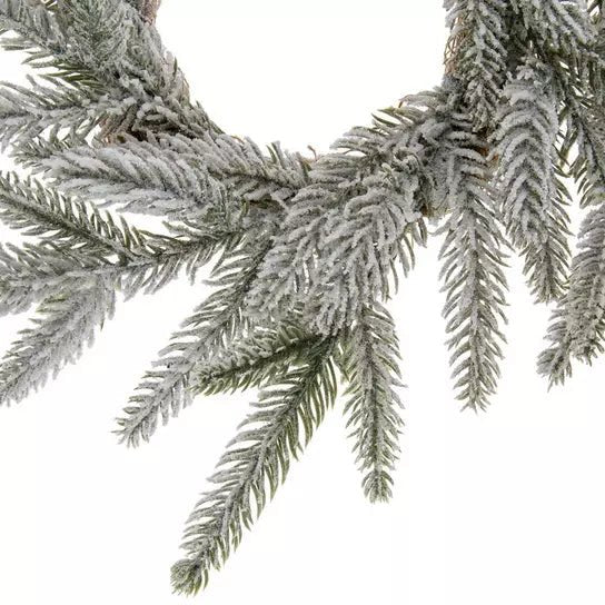 Coronita Nevada - ambientihonduras