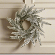 Coronita Nevada - ambientihonduras