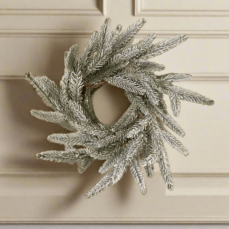 Coronita Nevada - ambientihonduras