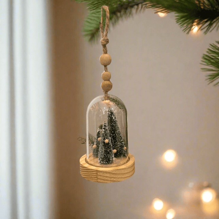 Cupula - ambientihonduras