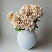 Dahlia Beige - ambientihonduras