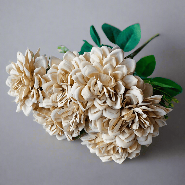 Dahlia Beige - ambientihonduras