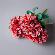 Dahlia Rosa Salmon - ambientihonduras