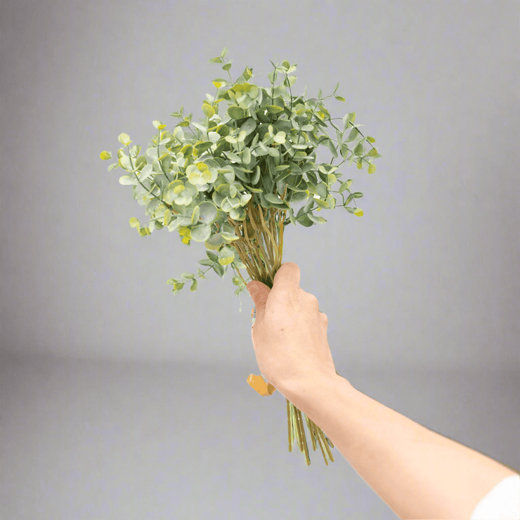 Eucalipto - ambientihonduras