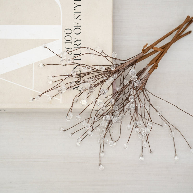 Follaje Cristal - ambientihonduras