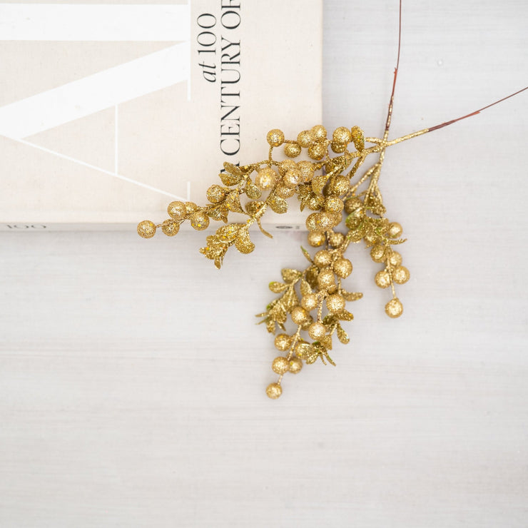 Follaje Dorado Escarchado - ambientihonduras