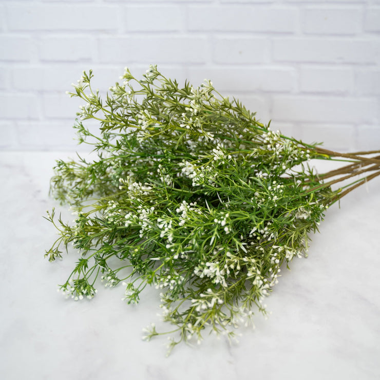 Follaje Largo Verde & Blanco - ambientihonduras