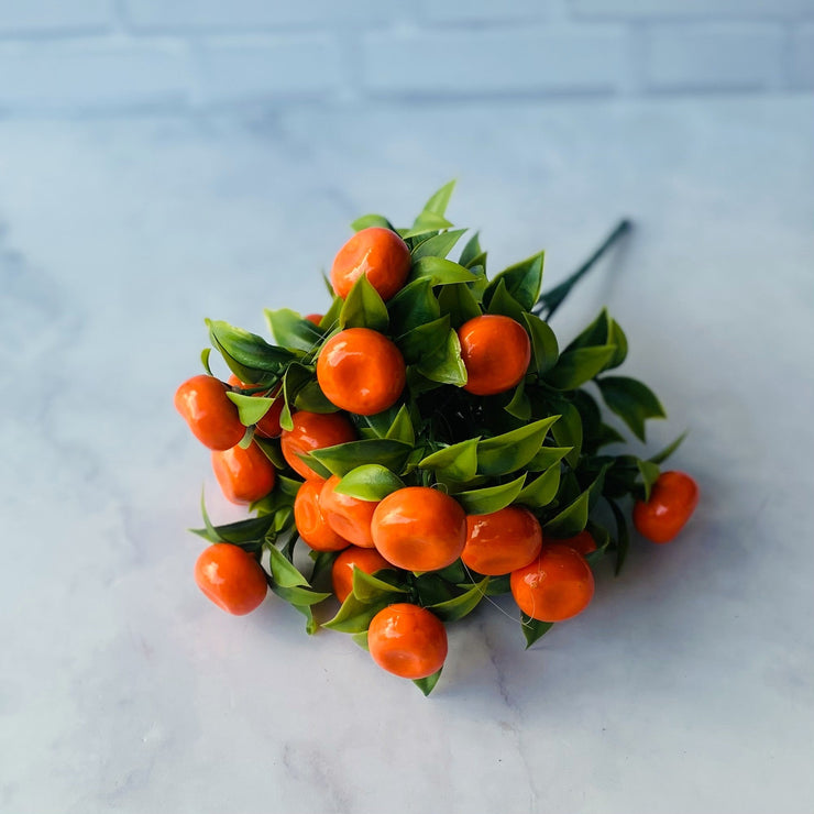 Follaje Mandarinas - ambientihonduras