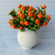 Follaje Mandarinas - ambientihonduras