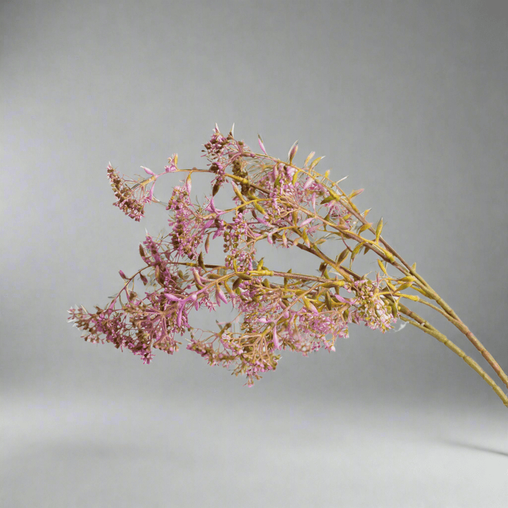 Follaje Morado Artificial - ambientihonduras