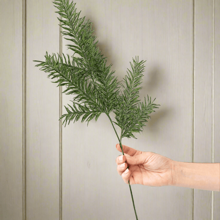 Follaje verde - ambientihonduras