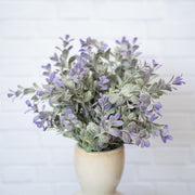 Follaje Verde y Morado Cenizo - ambientihonduras