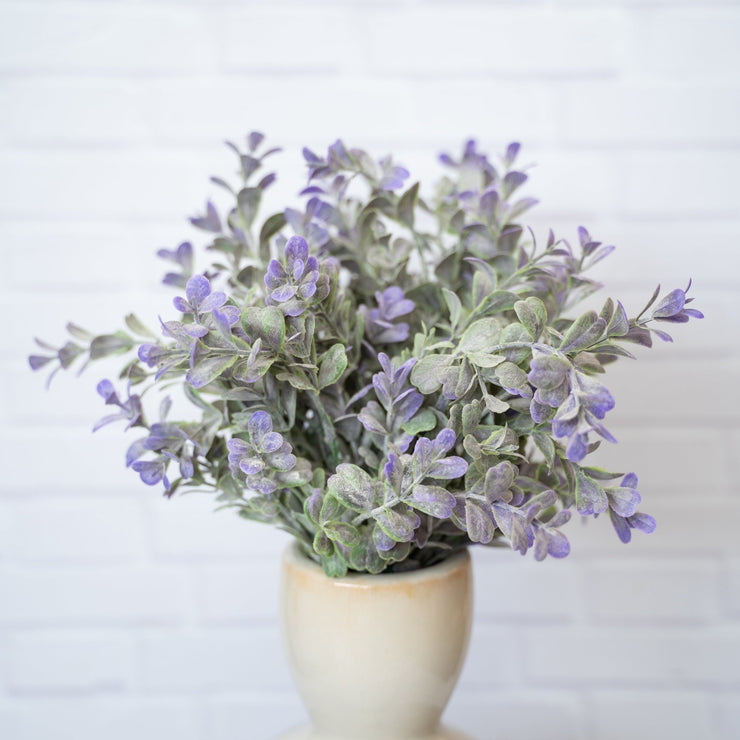 Follaje Verde y Morado Cenizo - ambientihonduras