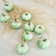 Guirnalda de Calabazas - ambientihonduras