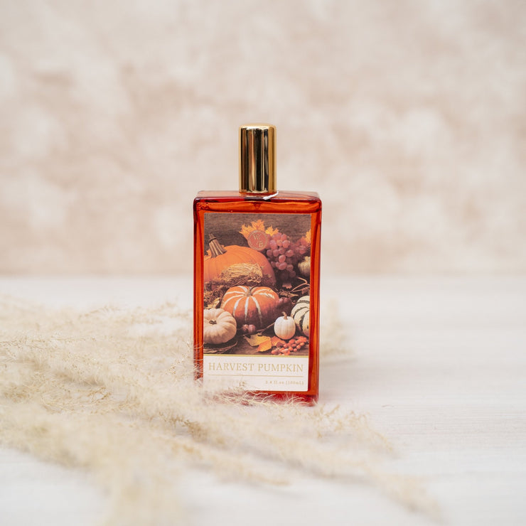 harvest pumpkin - ambientihonduras