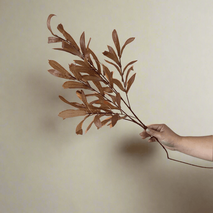 Hojas Secas - ambientihonduras