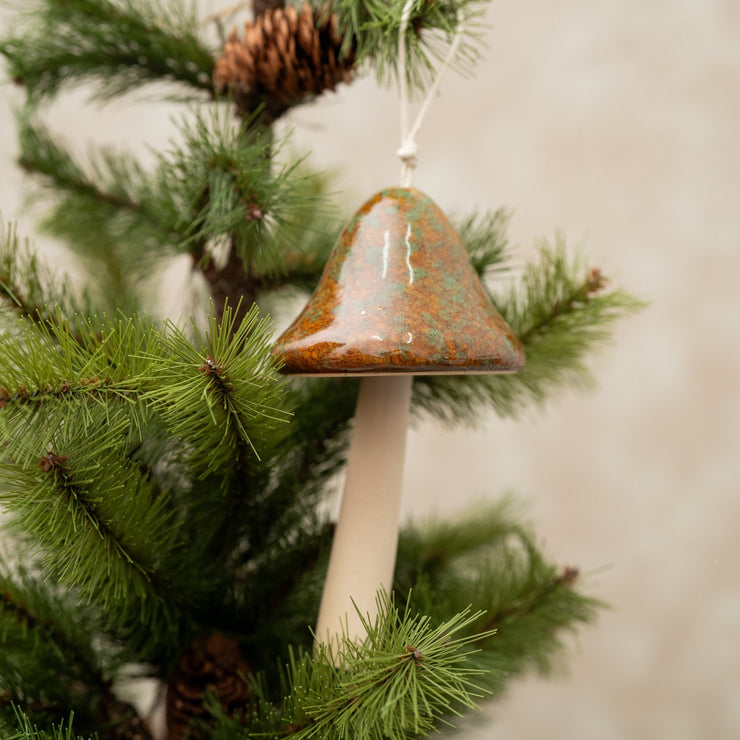 Hongo café - ambientihonduras