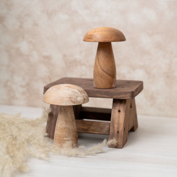 Hongo de Madera - ambientihonduras