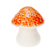 Hongos de colores - ambientihonduras