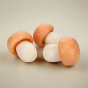 Hongos Decorativos - ambientihonduras