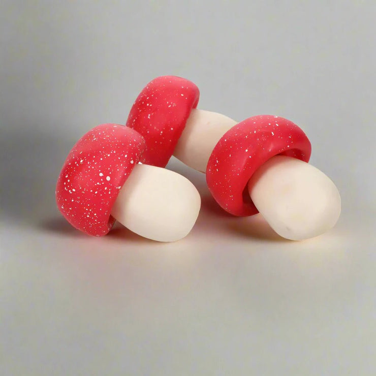 Hongos Decorativos - ambientihonduras