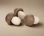 Hongos Decorativos - ambientihonduras