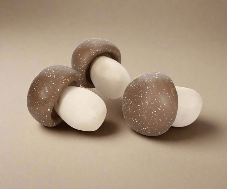 Hongos Decorativos - ambientihonduras