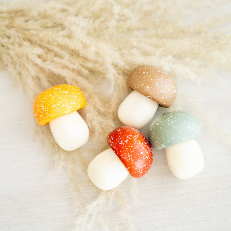 Hongos Decorativos - ambientihonduras