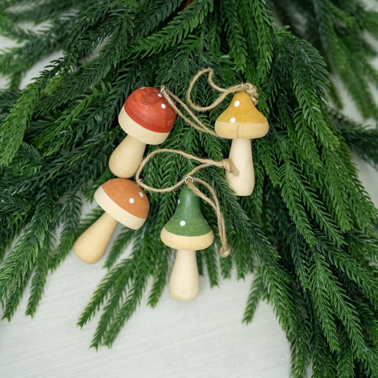 Honguito de Madera - ambientihonduras